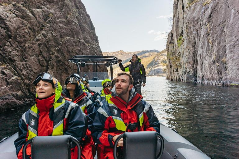 Au départ de Stavanger : Tour touristique en bateau pneumatique dans le Lysefjord