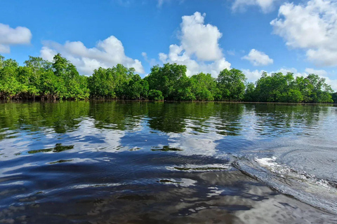 Pungume Island, Pungume Beach, sandbank BBQ och snorklingPungume-ön, Pungume-stranden, sandbank BBQ och snorkling