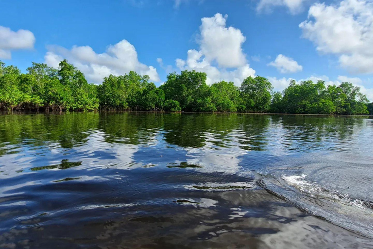 Pungume Island, Pungume Beach, sandbank BBQ och snorklingPungume-ön, Pungume-stranden, sandbank BBQ och snorkling