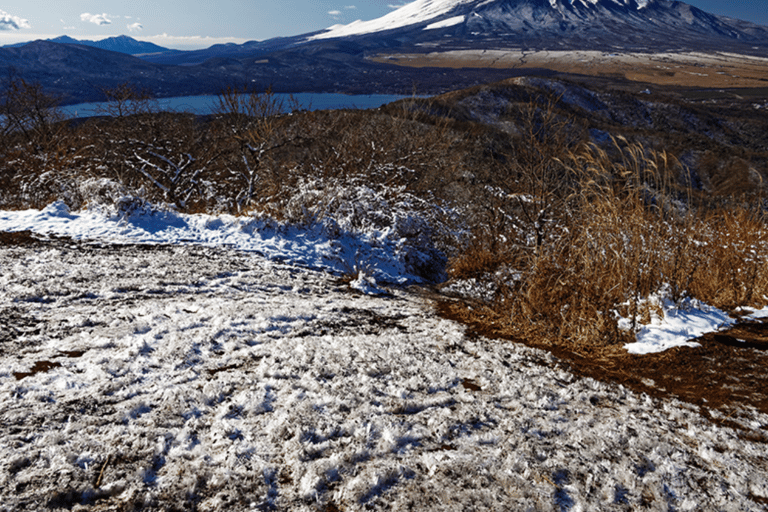 Mount Fuji Full Day Private Customizable Tour with Guide