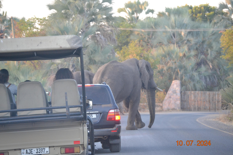 Livingstone: Recorridos de caza y paseo en rinoceronteLivingstone: Safari en el hermoso PN Mosi-Oa-Tunya