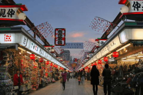 Tokyo Full Day Customizable Private Tour with English Guide