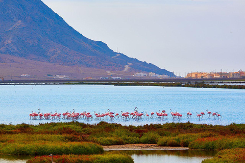 Cabo de Gata: Kayaking and Snorkeling + Salt Flats and Flamingos | Full Tour