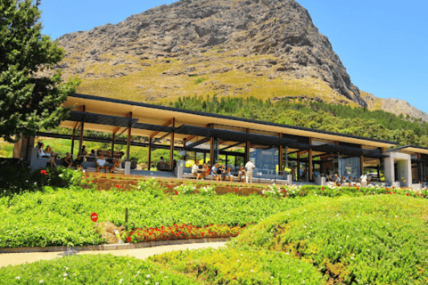 Cidade do Cabo: Viagem de 1 dia a Stellenbosch, Franschhoek e Paarl