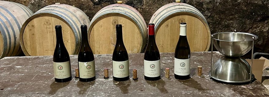 Au départ de Lyon : visite privée du Beaujolais, dégustations et restaurant