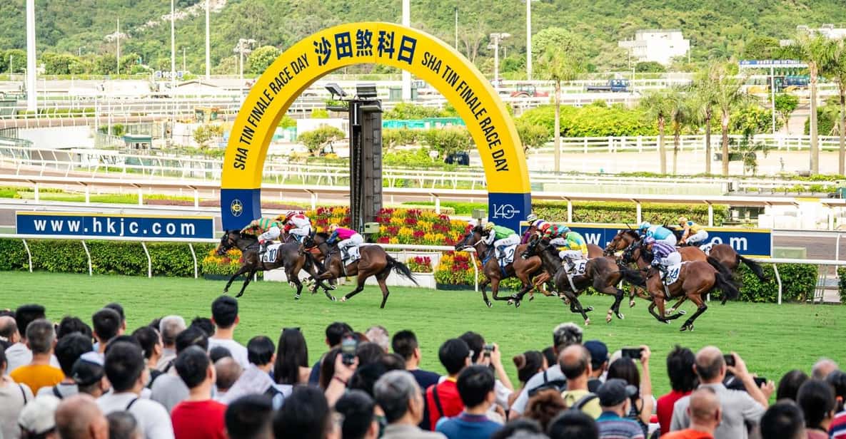 香港ジョッキークラブ沙田競馬場プレミアムツアーをご覧ください
