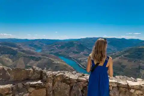 Porto: História do Vale do Douro e Visita ao Vinho com Cruzeiro e Almoço