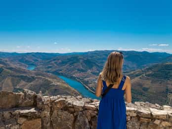 Porto: Tour storico e vinicolo della Valle del Douro con crociera e pranzo