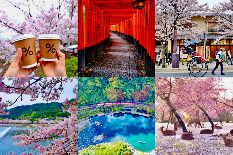 Kyoto/Nara: Must-see Spots in One Day Tour with Hotel Pickup