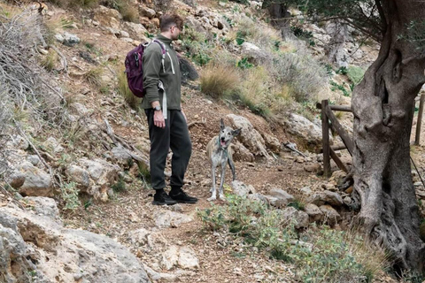 Crete: Platanion Gorge Hiking Tour with Traditional Lunch