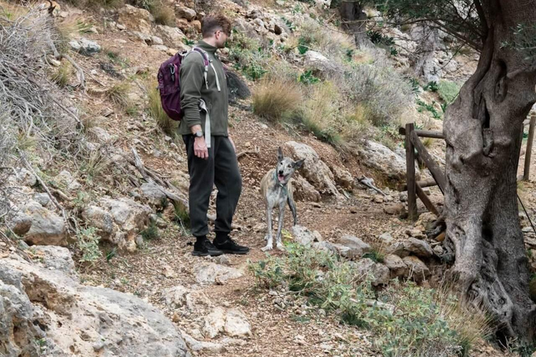 Crete: Platanion Gorge Hiking Tour with Traditional Lunch