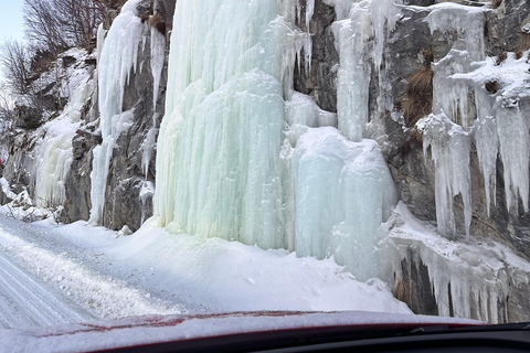 Narvik/Harstad : Excursion d&#039;une journée dans les Fjords avec arrêt à la ferme des rennes