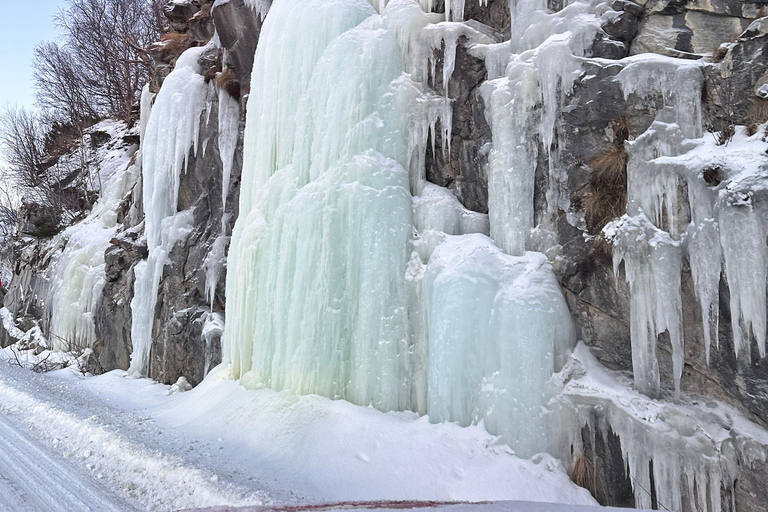 Narvik/Harstad : Excursion d&#039;une journée dans les Fjords avec arrêt à la ferme des rennes