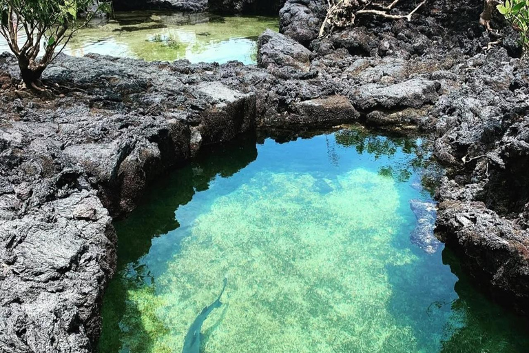 From Isabela Island: Tunnels Boat Tour and Snorkeling Trip
