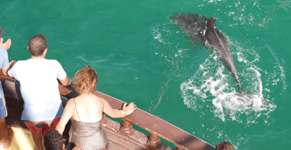 Djerba: Pirate Boat-Trip to Flamingo Island with Lunch