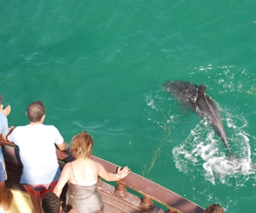 Djerba: Pirate Boat-Trip to Flamingo Island with Lunch