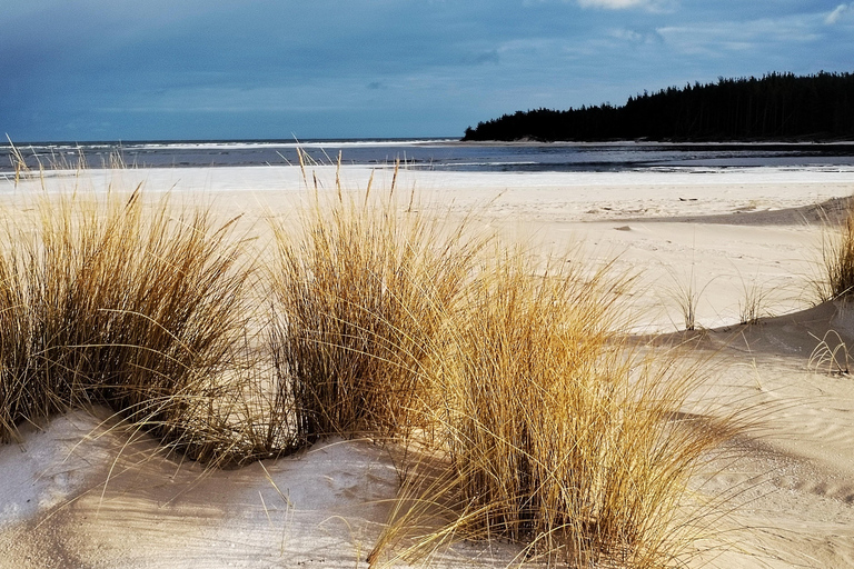 Bird Watching tour in Natural Park near Riga (Latvia)