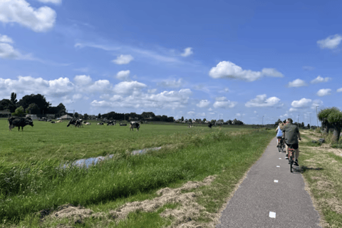 Amsterdam: E-Bike, Cheese, Windmill & Countryside Tour