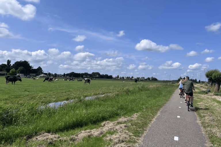 Amsterdam: E-Bike, Cheese, Windmill & Countryside Tour