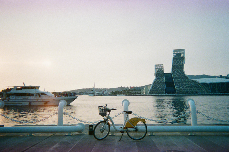 Kaohsiung：Tour de la ciudad con atracciones destacadasCostas y playas