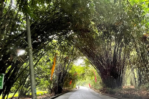 Bali: Penglipuran Village, Waterfall, and Night Market Tour