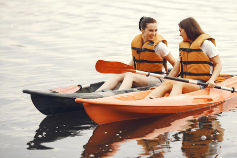 Al Khor: Kajakpaddling i mangroveskogen