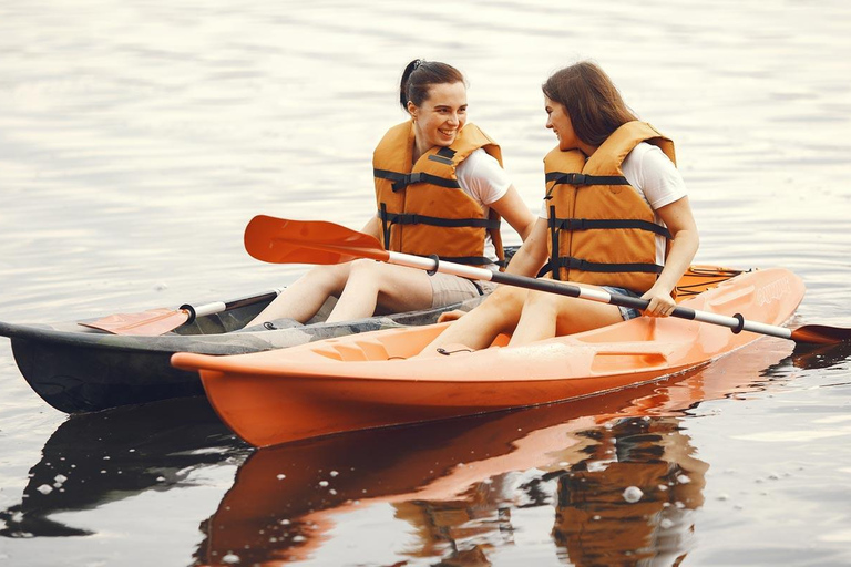 Al Khor: Kajakpaddling i mangroveskogen