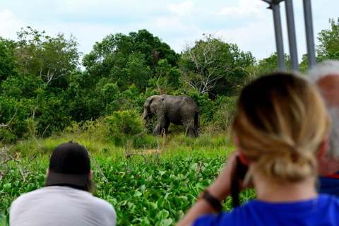 恩德培/坎帕拉：3日莫西森瀑布之旅与犀牛追踪