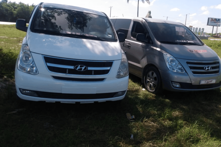 From Punta Cana Airport (PUJ): Private Transfer