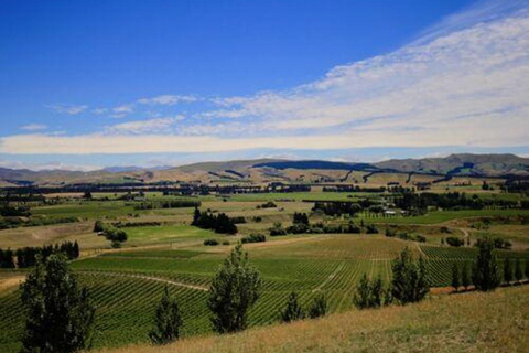 Christchurch: Waipara Wine Tour with Tastings & Lunch