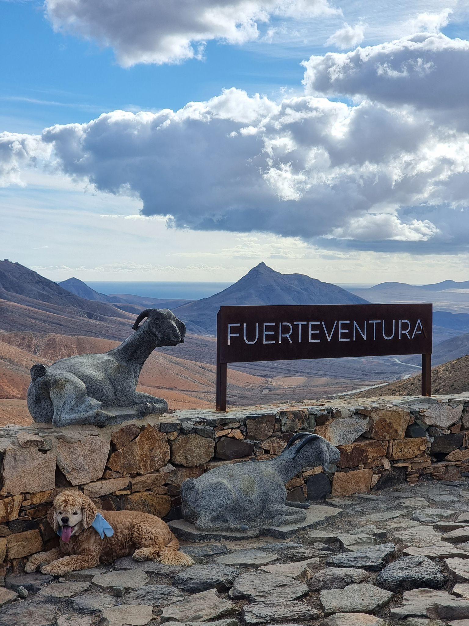 Fuerteventura: Malerische private Tour mit Guide und Fotostopps