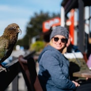 TranzAlpine, Arthur’s Pass, Castle Hill Day Tour with Lunch