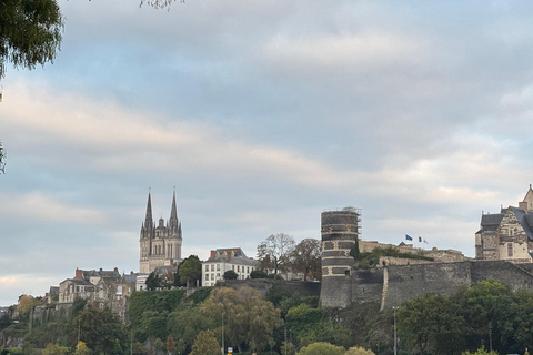 Besök på Château d&#039;Angers och vinprovning