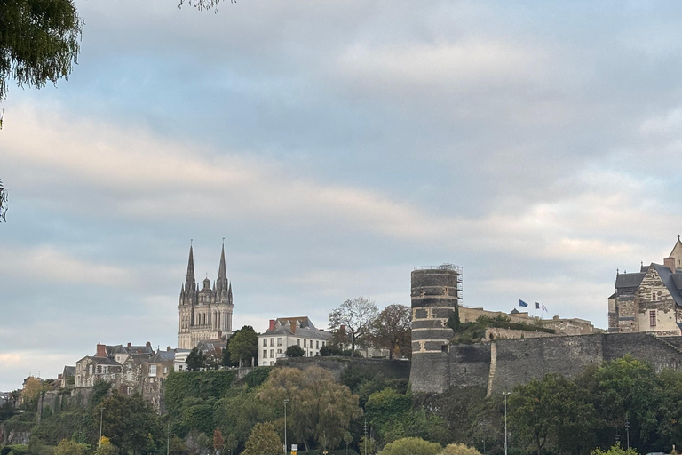 Visita allo Château d&#039;Angers e degustazione di vini