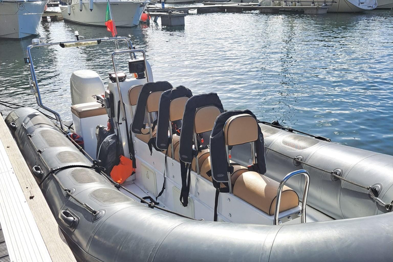 Calheta : Visite en petit groupe d&#039;observation des baleines et des dauphinsCalheta : Observation des baleines et des dauphins Visite privée avec un designer