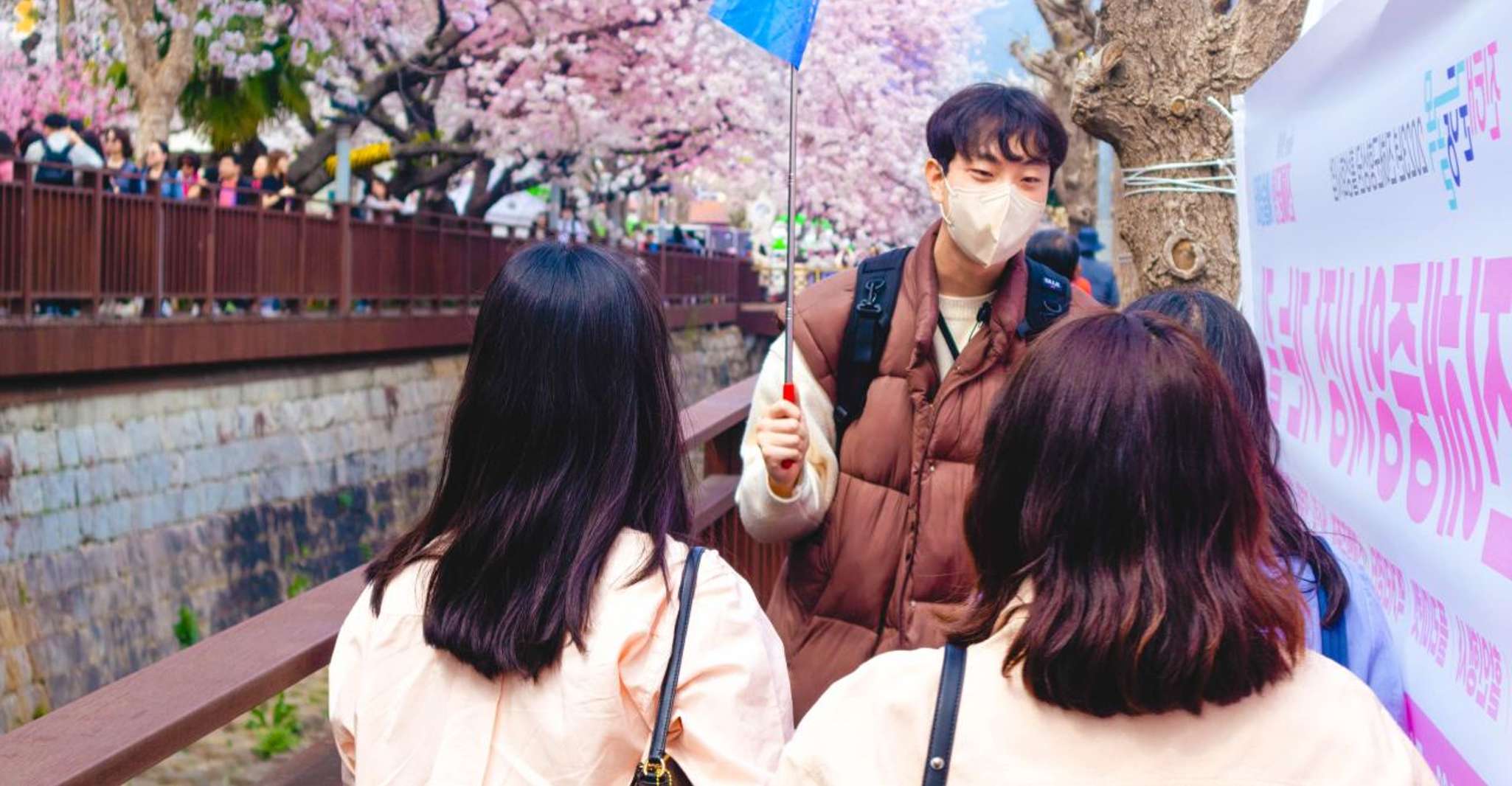 Busan'dan Jinhae Cherry Blossom Gündüz veya Gece Turu - Hizvo