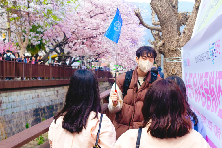 Von Busan: Jinhae Cherry Blossom Festival Tag oder Nacht TourNächtliche Jinhae Tour, Treffen am Busan Bahnhof