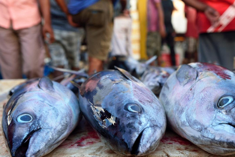 Negombo: Private City Tour with Ayurvedic Massage & Lunch