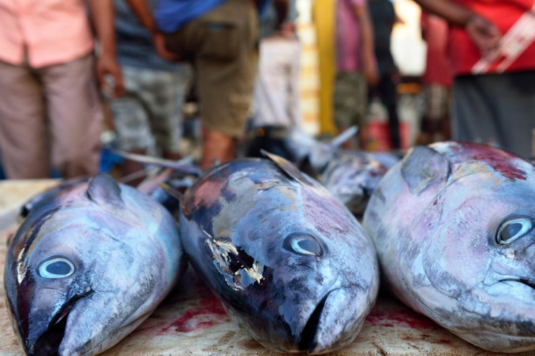 Negombo: Private City Tour with Ayurvedic Massage & Lunch