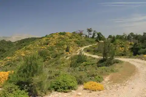Rhodes: Safari with experienced driver - South pick ups