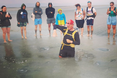Bay of Mont Saint-Michel: Fun and friendly quicksand adventures