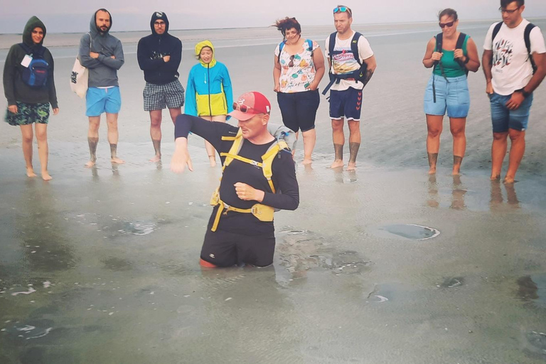 Bay of Mont Saint-Michel: Fun and friendly quicksand adventures