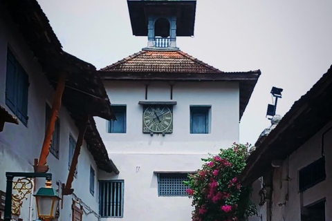 Kochi Airport: Private Half-Day Guided Layover Tour