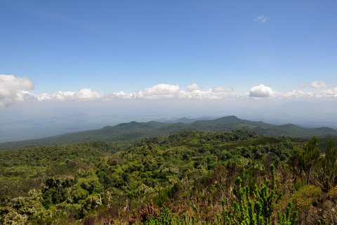 Kilimanjaro : Private 1-Day Trek with Certified Guide