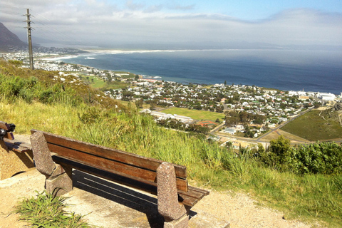 From Cape Town: Hermanus Whale Watching Full Day Tour default