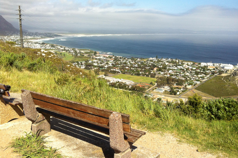 From Cape Town: Hermanus Whale Watching Full Day Tour default