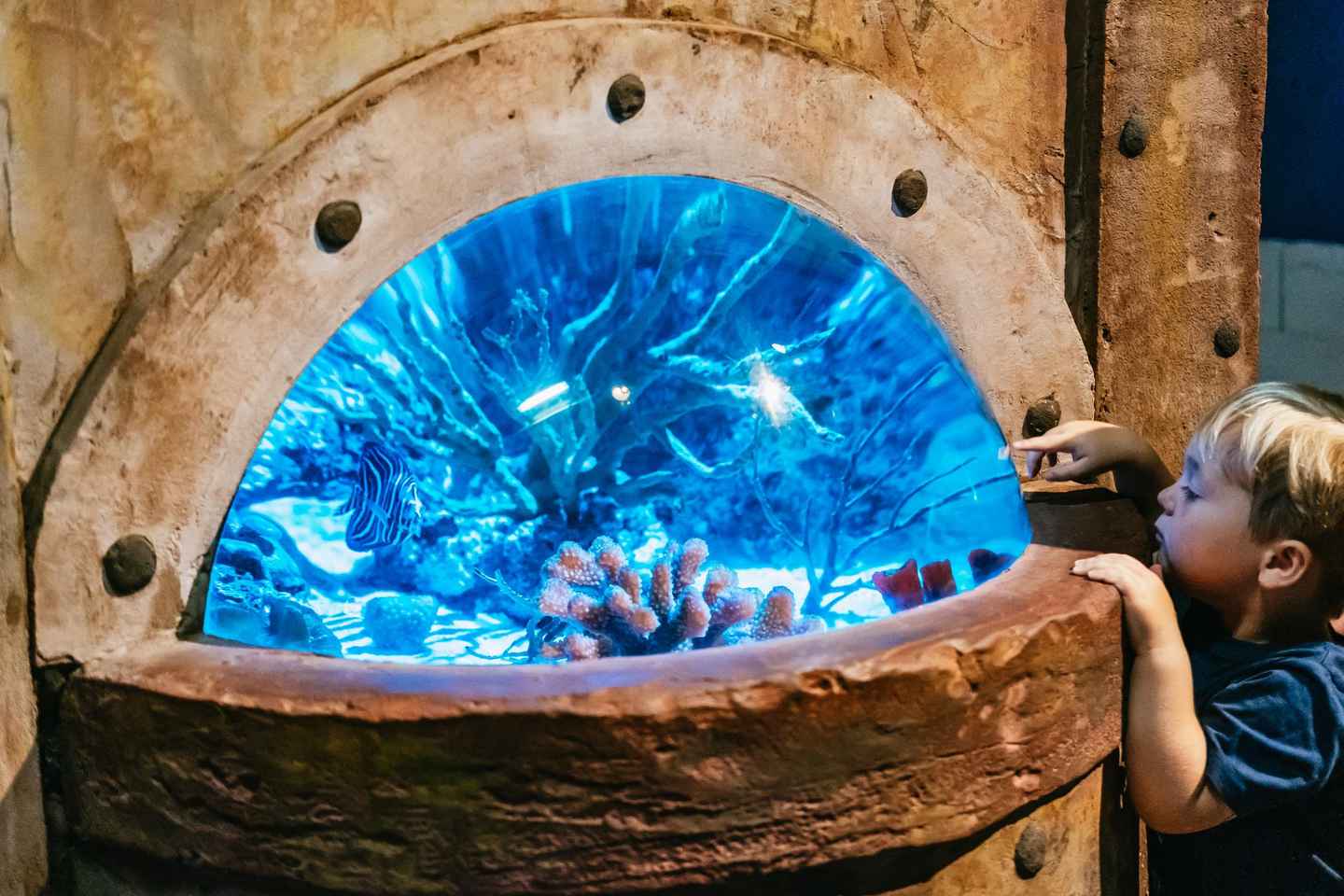 Lanzarote: Entrada al Acuario