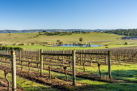 Von Melbourne, Yarra Valley Wein, Gin, Schokolade Tagesausflug - Hizvo