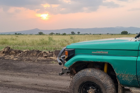 Uganda: 7-dagars gorillasafari och djurliv