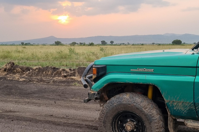 Uganda: 7-dagars gorillasafari och djurliv